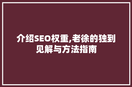 介绍SEO权重,老徐的独到见解与方法指南 编程语言