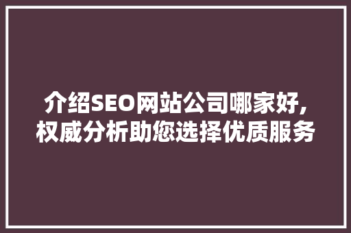 介绍SEO网站公司哪家好,权威分析助您选择优质服务 电脑故障维修