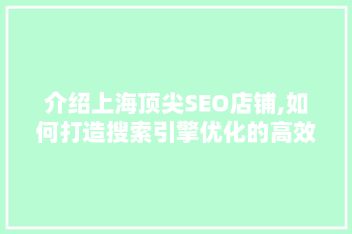 介绍上海顶尖SEO店铺,如何打造搜索引擎优化的高效之路 操作系统