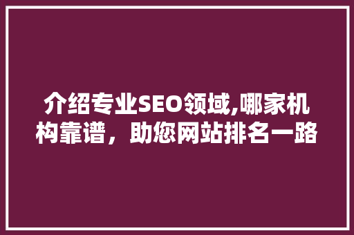 介绍专业SEO领域,哪家机构靠谱，助您网站排名一路飙升