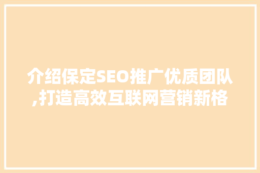 介绍保定SEO推广优质团队,打造高效互联网营销新格局
