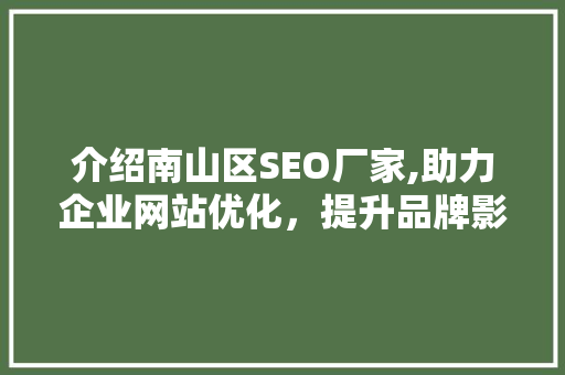 介绍南山区SEO厂家,助力企业网站优化，提升品牌影响力