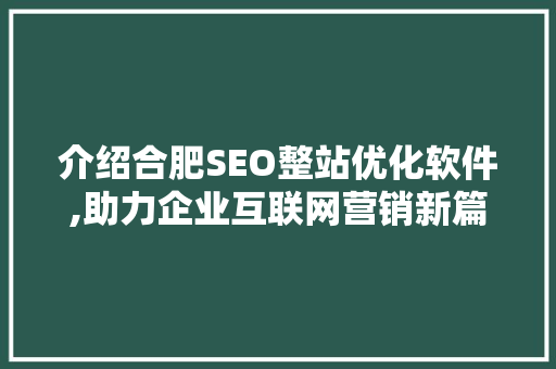 介绍合肥SEO整站优化软件,助力企业互联网营销新篇章