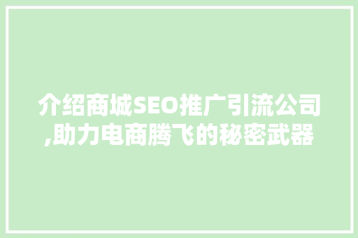 介绍商城SEO推广引流公司,助力电商腾飞的秘密武器