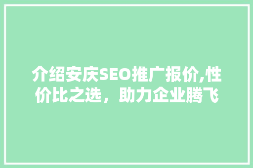 介绍安庆SEO推广报价,性价比之选，助力企业腾飞