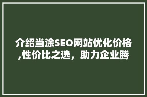 介绍当涂SEO网站优化价格,性价比之选，助力企业腾飞