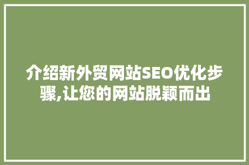 介绍新外贸网站SEO优化步骤,让您的网站脱颖而出