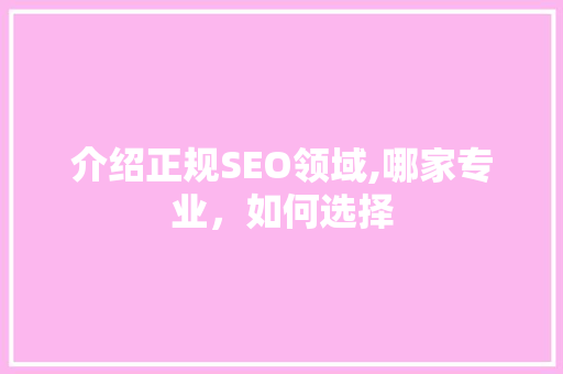 介绍正规SEO领域,哪家专业，如何选择