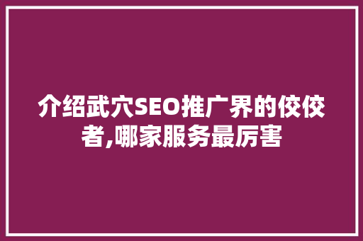 介绍武穴SEO推广界的佼佼者,哪家服务最厉害
