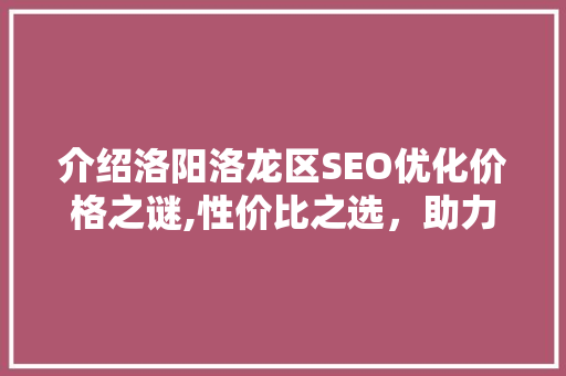 介绍洛阳洛龙区SEO优化价格之谜,性价比之选，助力企业腾飞