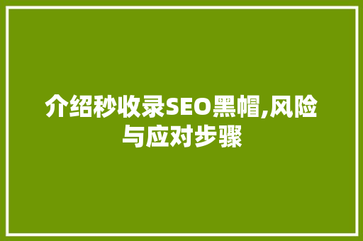 介绍秒收录SEO黑帽,风险与应对步骤
