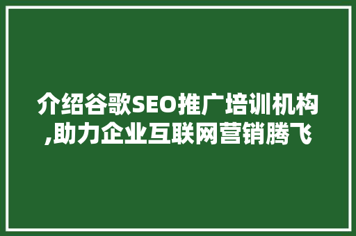 介绍谷歌SEO推广培训机构,助力企业互联网营销腾飞