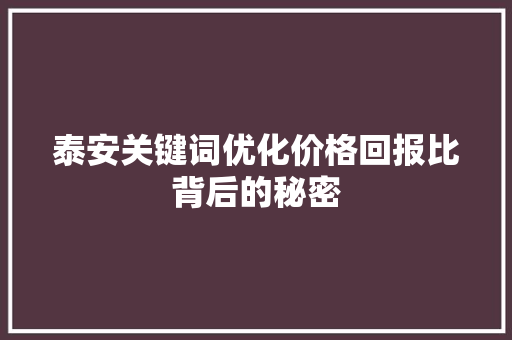 泰安关键词优化价格回报比背后的秘密