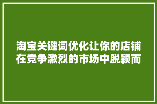 淘宝关键词优化让你的店铺在竞争激烈的市场中脱颖而出