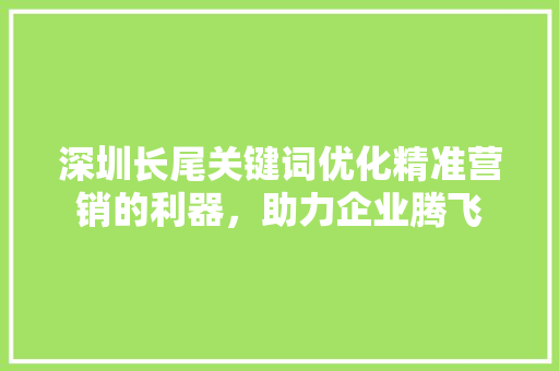 深圳长尾关键词优化精准营销的利器，助力企业腾飞 电脑故障维修