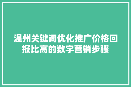 温州关键词优化推广价格回报比高的数字营销步骤 温州关键词优化推广价格回报比高的数字营销步骤