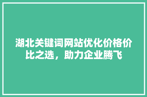 湖北关键词网站优化价格价比之选，助力企业腾飞