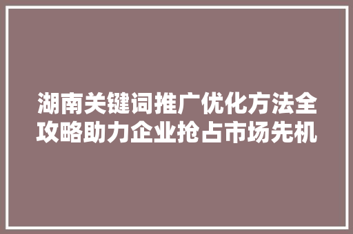 湖南关键词推广优化方法全攻略助力企业抢占市场先机