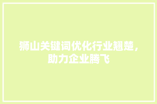 狮山关键词优化行业翘楚，助力企业腾飞