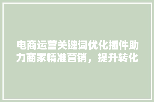 电商运营关键词优化插件助力商家精准营销，提升转化率