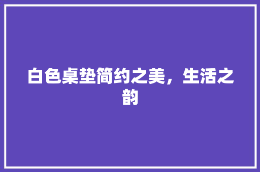 白色桌垫简约之美，生活之韵
