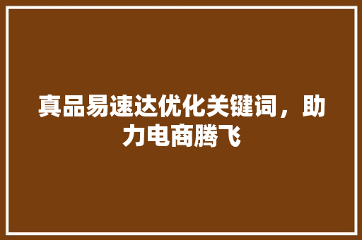 真品易速达优化关键词，助力电商腾飞