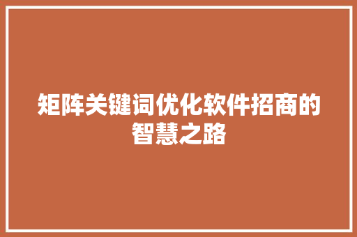 矩阵关键词优化软件招商的智慧之路