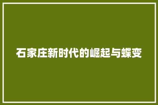 石家庄新时代的崛起与蝶变