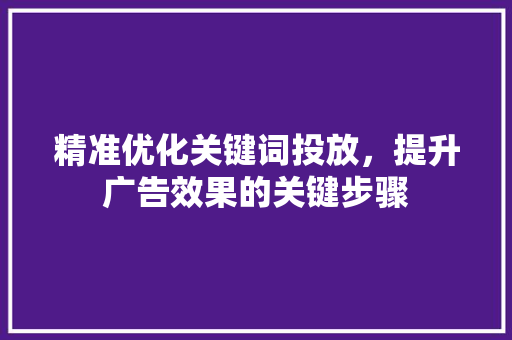 精准优化关键词投放，提升广告效果的关键步骤