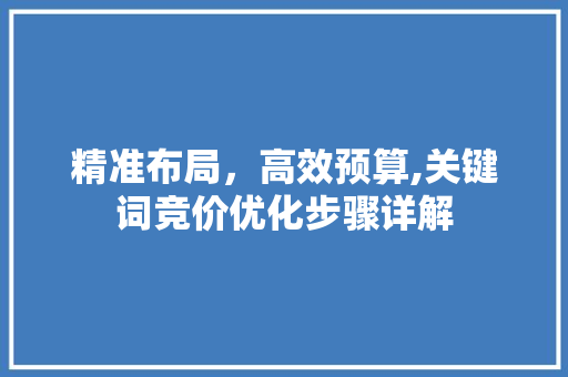 精准布局，高效预算,关键词竞价优化步骤详解