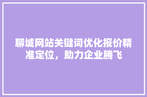 聊城网站关键词优化报价精准定位，助力企业腾飞