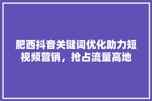 肥西抖音关键词优化助力短视频营销，抢占流量高地