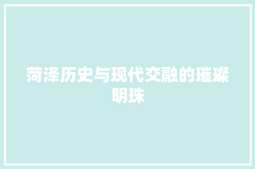 菏泽历史与现代交融的璀璨明珠