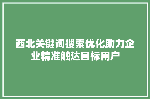 西北关键词搜索优化助力企业精准触达目标用户