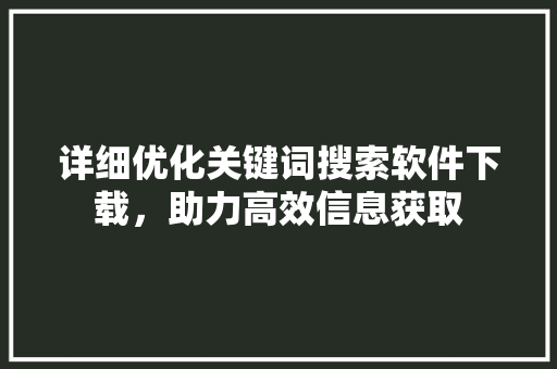详细优化关键词搜索软件下载，助力高效信息获取