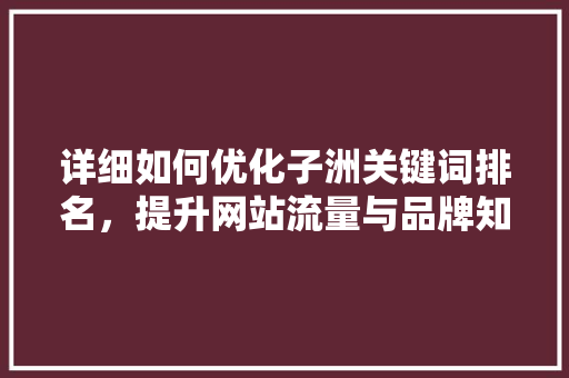 详细如何优化子洲关键词排名，提升网站流量与品牌知名度