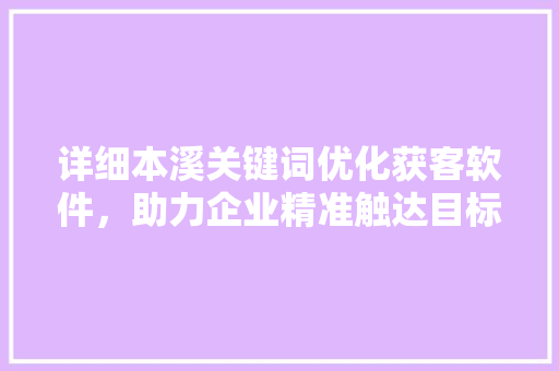 详细本溪关键词优化获客软件，助力企业精准触达目标客户
