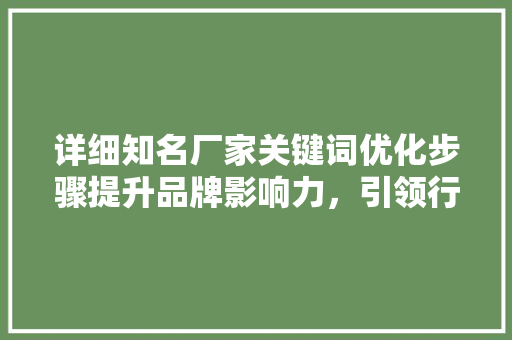 详细知名厂家关键词优化步骤提升品牌影响力，引领行业新风向