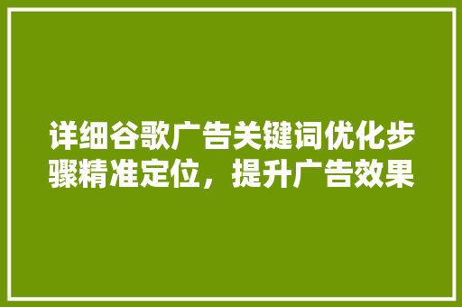 详细谷歌广告关键词优化步骤精准定位，提升广告效果