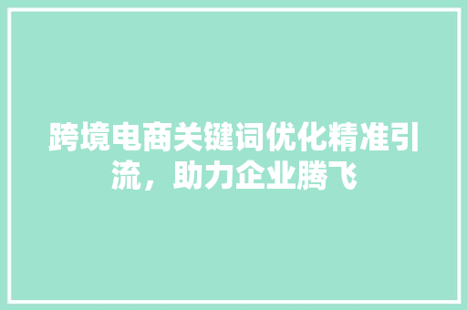 跨境电商关键词优化精准引流，助力企业腾飞
