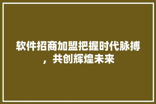 软件招商加盟把握时代脉搏，共创辉煌未来