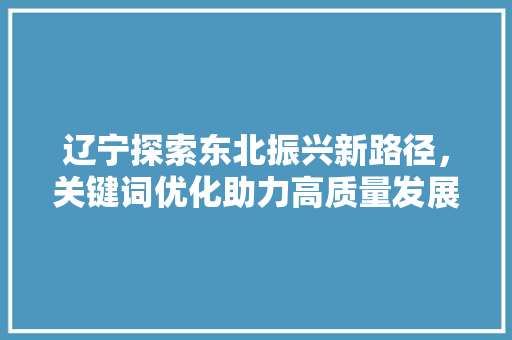 辽宁探索东北振兴新路径，关键词优化助力高质量发展