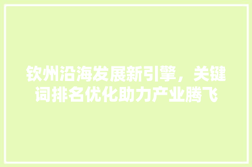 钦州沿海发展新引擎，关键词排名优化助力产业腾飞