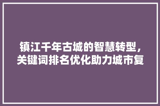 镇江千年古城的智慧转型，关键词排名优化助力城市复兴 网络技术