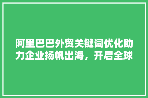阿里巴巴外贸关键词优化助力企业扬帆出海，开启全球化新篇章