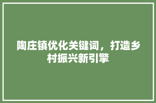陶庄镇优化关键词，打造乡村振兴新引擎