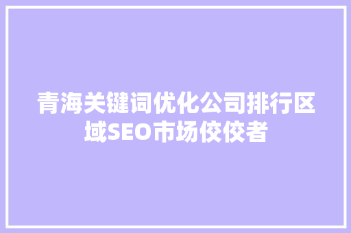 青海关键词优化公司排行区域SEO市场佼佼者