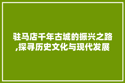 驻马店千年古城的振兴之路,探寻历史文化与现代发展的完美融合
