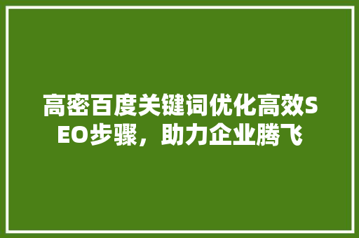 高密百度关键词优化高效SEO步骤，助力企业腾飞 电脑配置