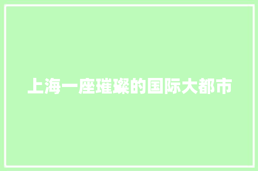 上海一座璀璨的国际大都市